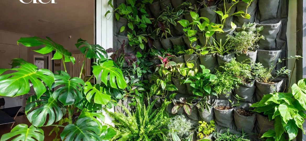 Cara membangun vertical garden di lahan terbatas