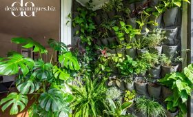 Cara membangun vertical garden di lahan terbatas