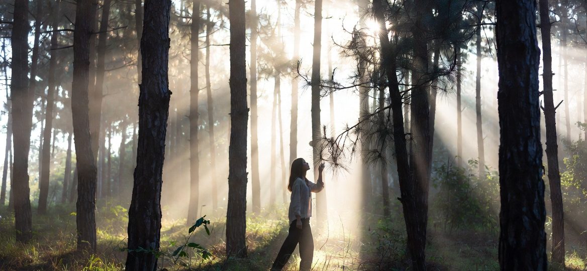Manfaat Terapi Alam (Forest Bathing) untuk Mental
